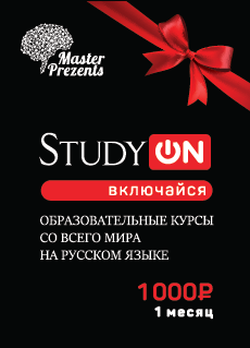 StudyON.guru.png