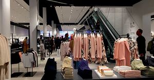 ZARA 6.jpg