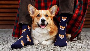 МЕГА FunnySocks.jpg