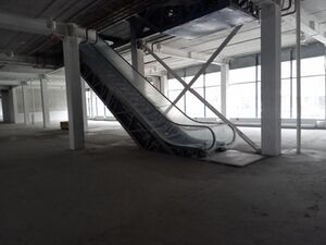 69932882.jpg
