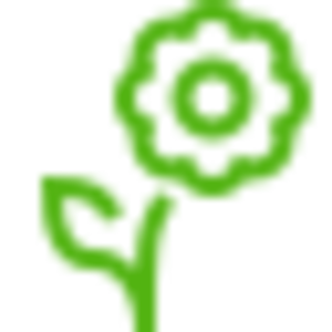 Flowers.svg