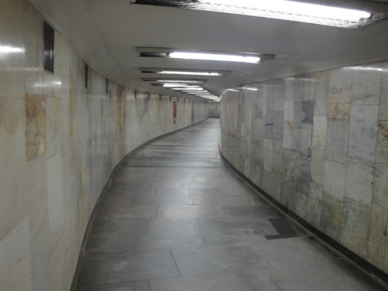 Файл:Сибирская (тоннель).jpg