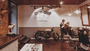 Chop-chop 8.jpg