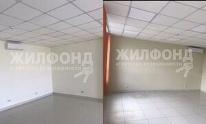 76285834.jpg