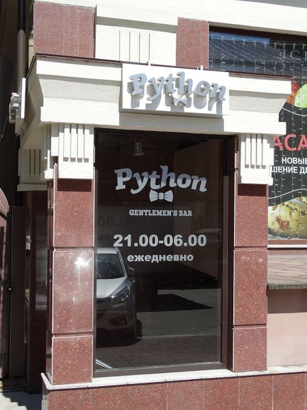 Файл:Python Ядринцевская 21 (2) (Сибирский неон).jpg