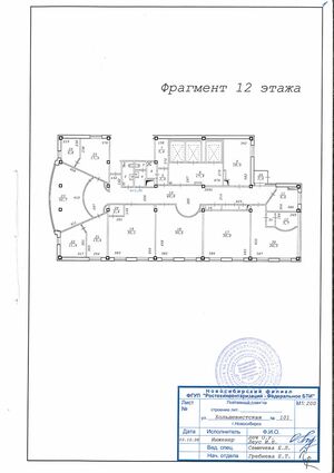 Большевистская 101 план 12 этаж.jpg