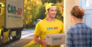 CAR-GO! 2.jpg