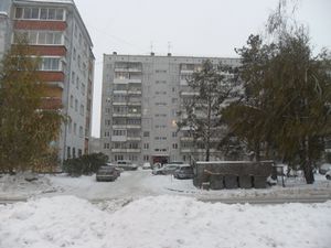 Петухова 82.jpg