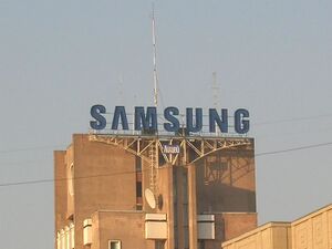 SAMSUNG 2 (Сибирский неон).jpg