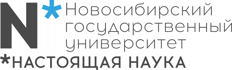 Файл:НГУ лого.png
