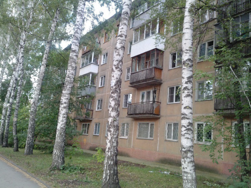 Файл:Новогодняя 18.jpg