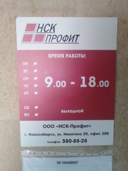 Файл:Никитина 20 НСК-Профит.jpg