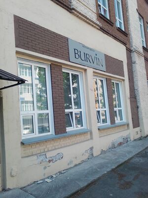 Красный проспект 220-5 (Burvin).jpg