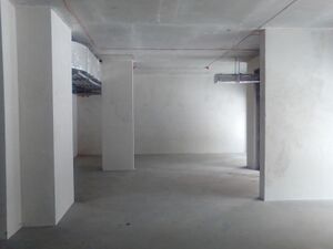 Большевистская 88 помещение 123 м² (4).jpg