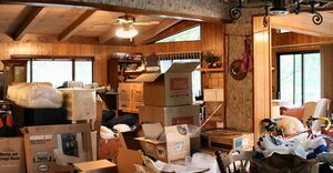 PRO.MOVING 3.jpg