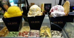 ICEBOX 1.jpg