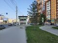 Берёзовая роща (станция метро)