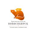 Миниатюра для версии от 01:17, 31 августа 2020
