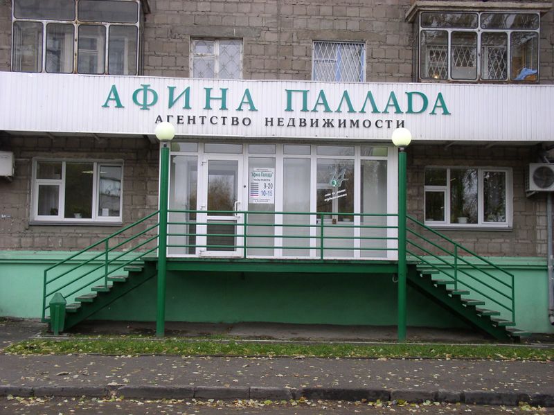 Файл:Карла Маркса проспект 16 (Афина Паллада).jpg